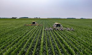 Новий ринок землі: хто інвестує в український агросектор