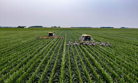 Новий ринок землі: хто інвестує в український агросектор